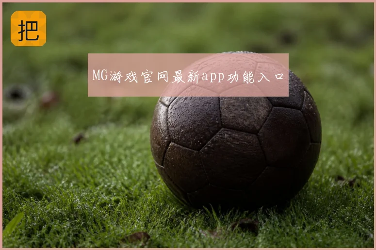 MG游戏官网最新app功能入口