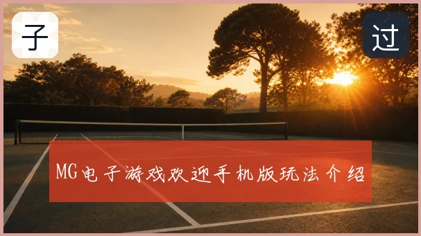 MG电子游戏欢迎手机版玩法介绍